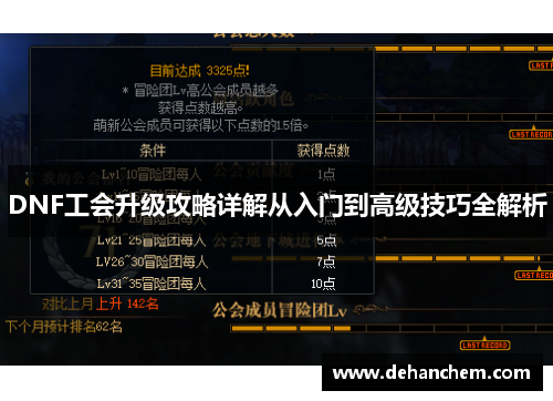 DNF工会升级攻略详解从入门到高级技巧全解析