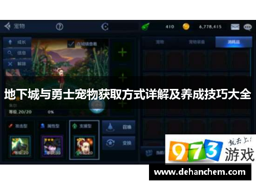 地下城与勇士宠物获取方式详解及养成技巧大全