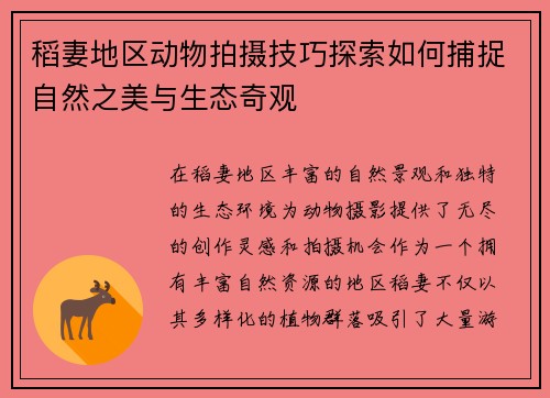稻妻地区动物拍摄技巧探索如何捕捉自然之美与生态奇观